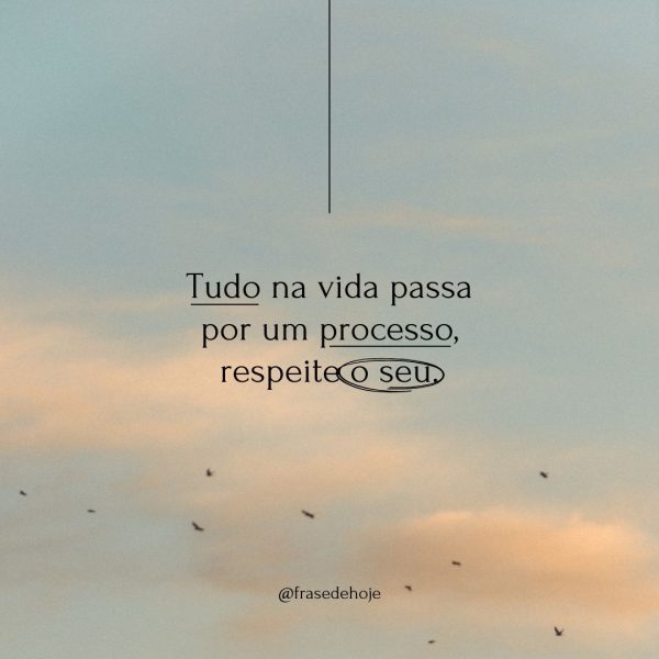 Tudo na vida passa por um processo, respeite o seu.