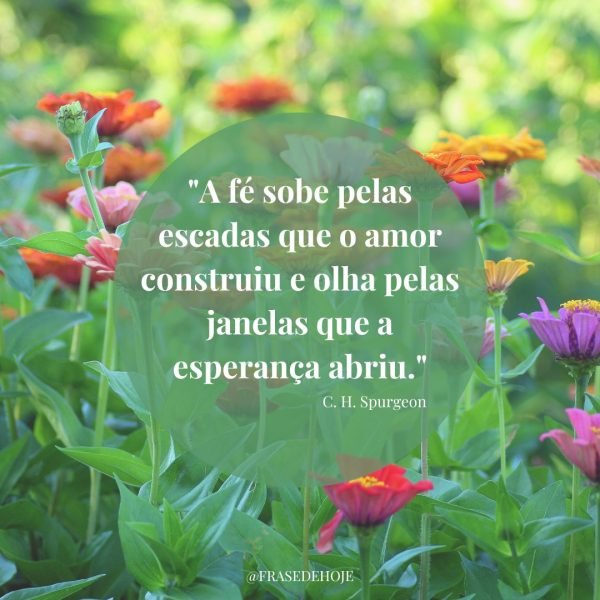 janelas de esperança