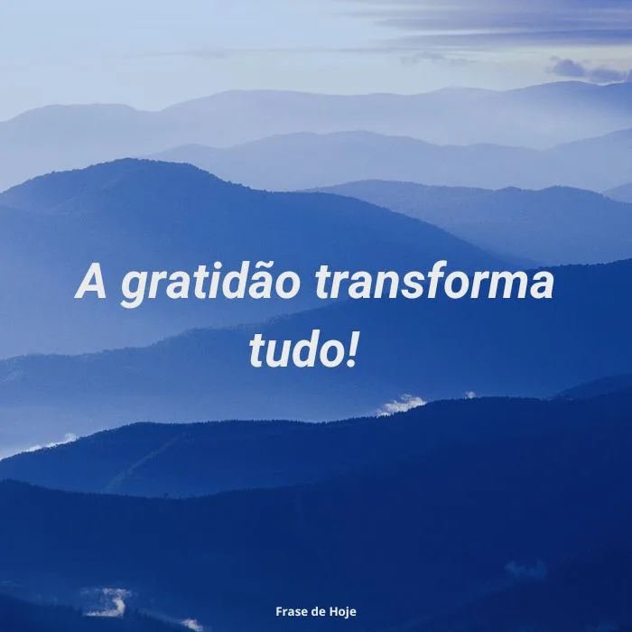 A gratidão transforma tudo! 