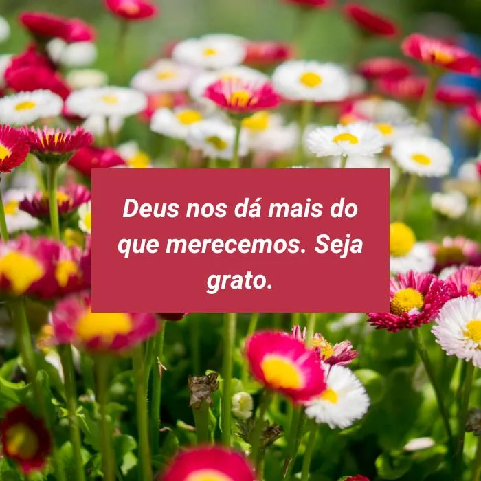 Frases sobre Gratidão e Louvor