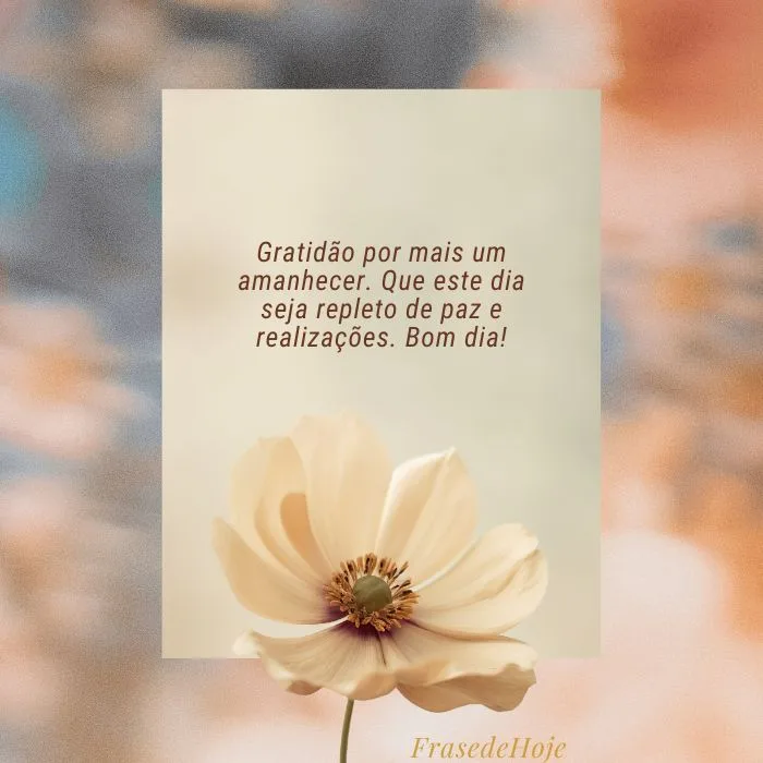 banner com uma flor e uma mensagem de gratidão por mais um dia