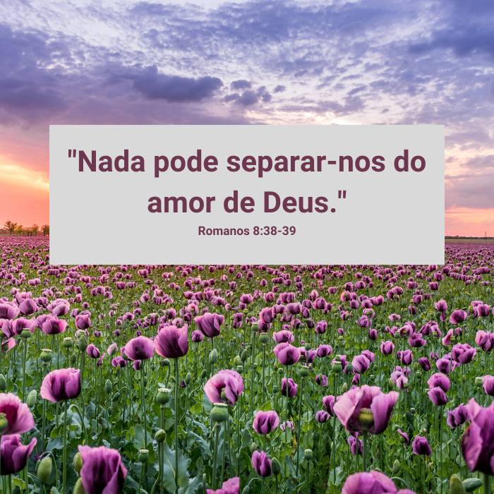 Frases sobre Amor e Misericórdia