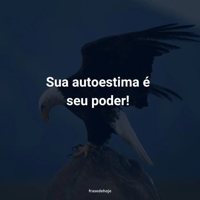 frases de autoestima para fortalecer o amor próprio: uma água pousada em uma pedra com a frase "Sua autoestima é seu Poder!