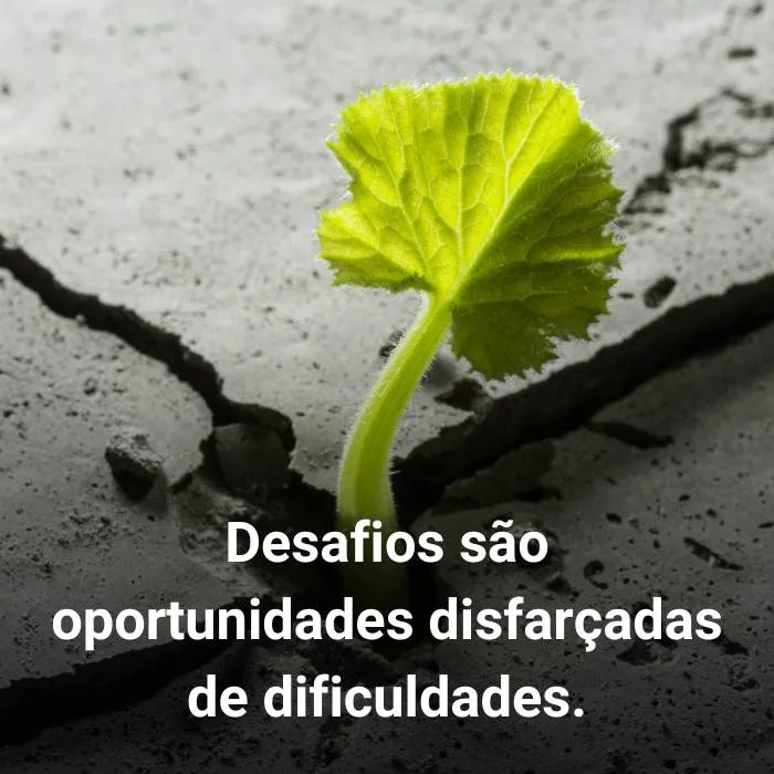 Frases de Motivação para Superar Desafios