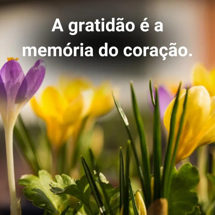 Frases Curtas e Diretas