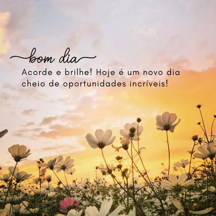 Mensagens de Bom dia com Alegria!