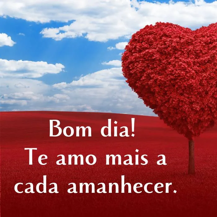 Bom dia! Te amo mais a cada amanhecer.