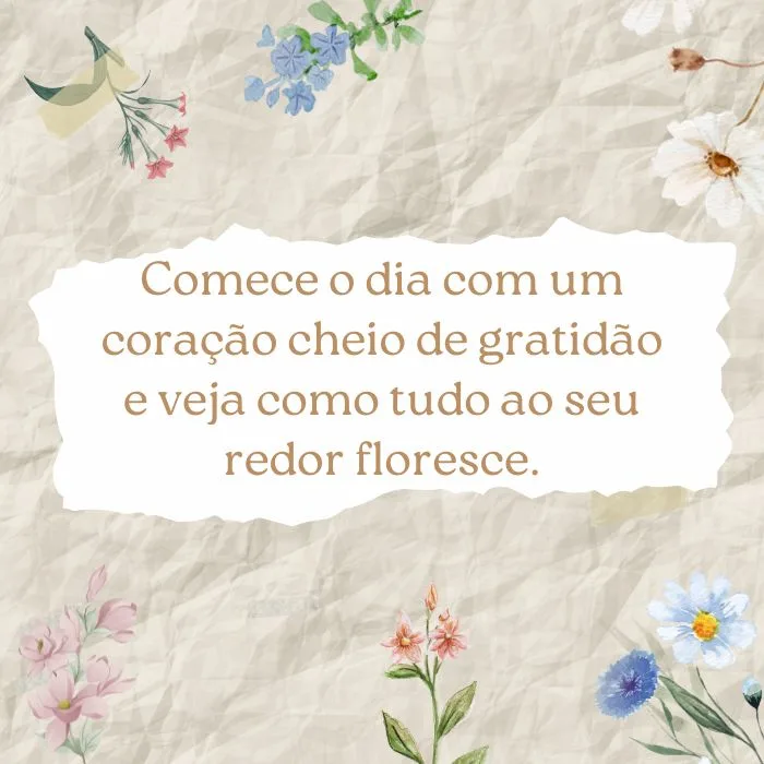 frases de bom dia motivacional