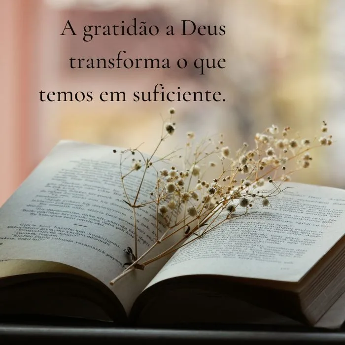 A gratidão a Deus transforma o que temos em suficiente.